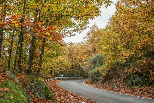 lugares para una sesión de fotos en el campo cerca de Madrid